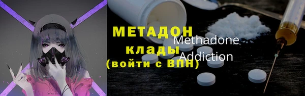стаф Алзамай