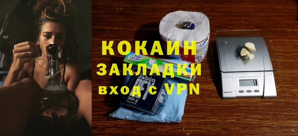 стаф Алзамай